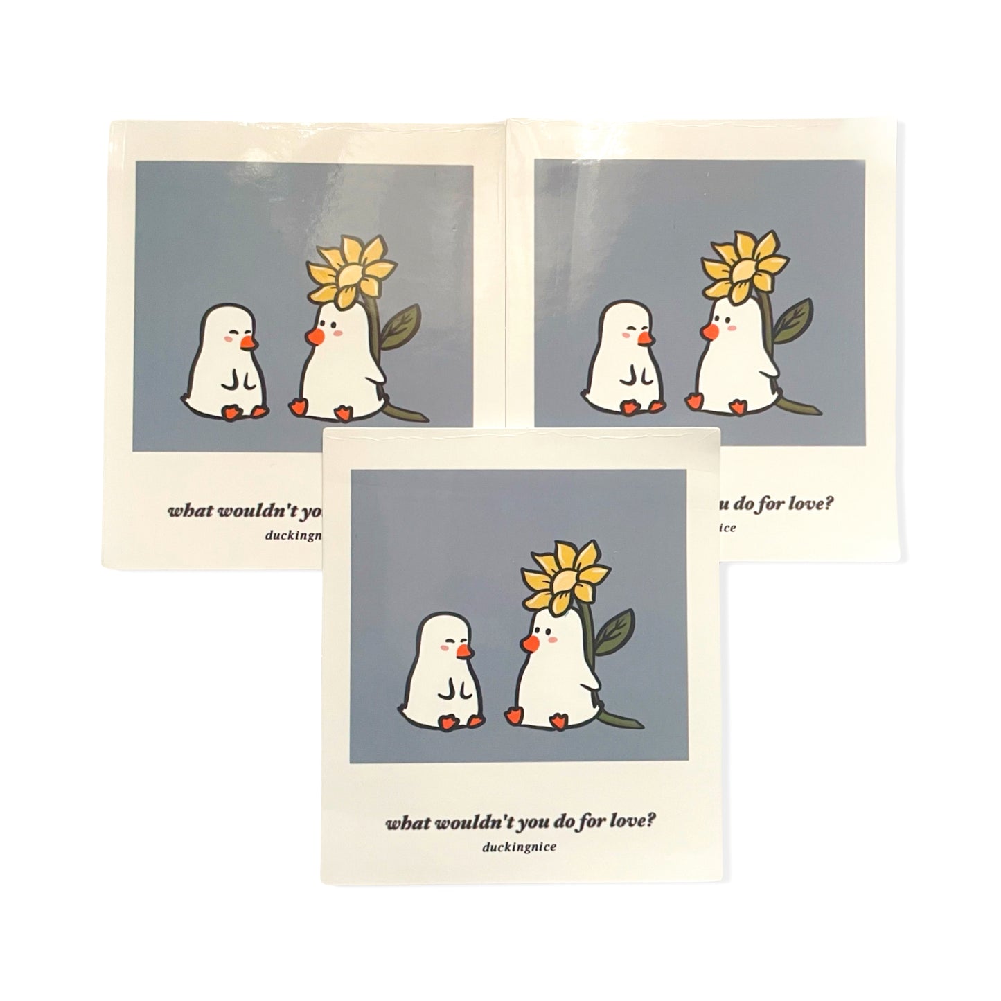 Duck Stickers